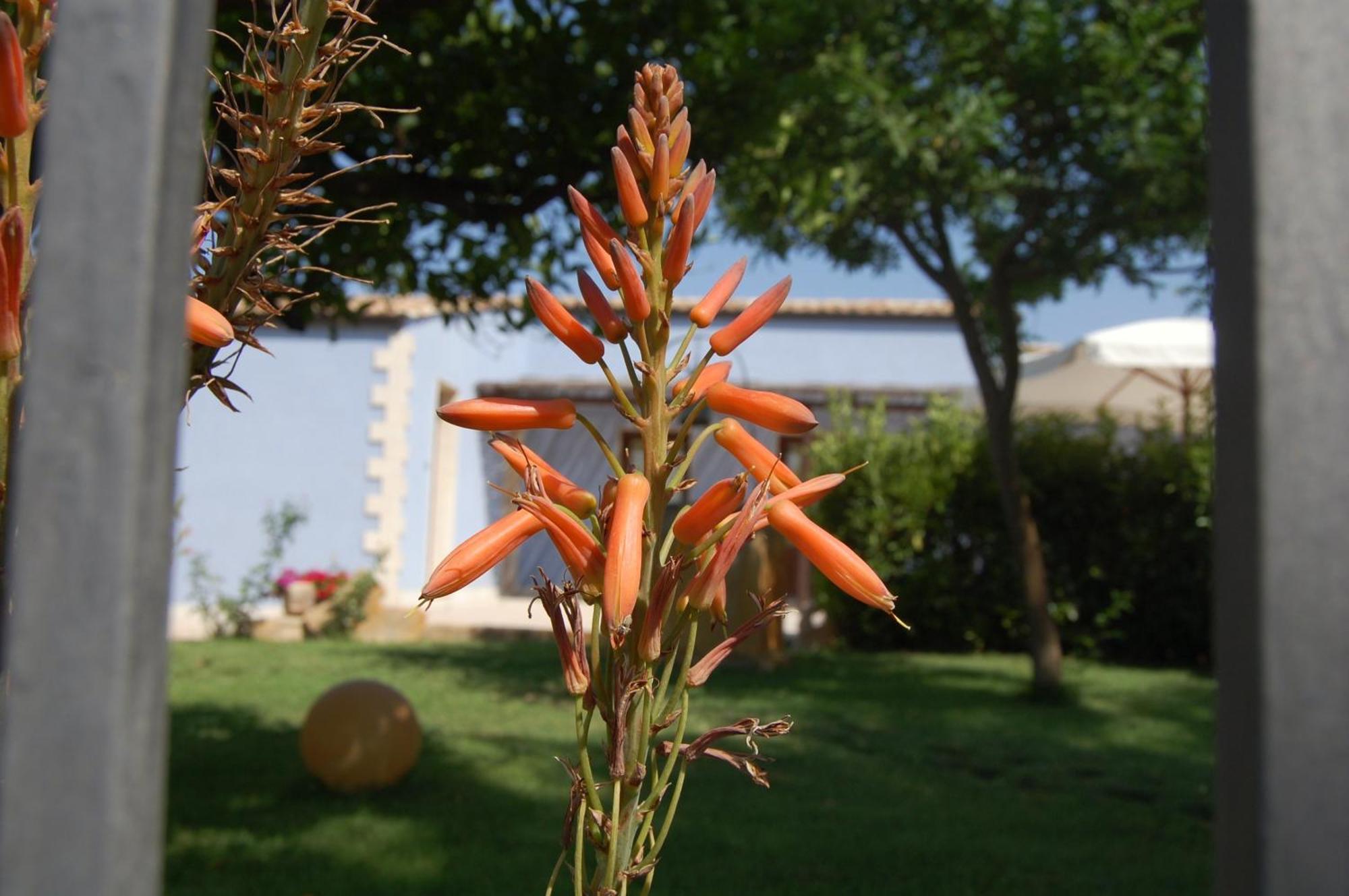 Terre Iblee Resort Chiaramonte Gulfi Exterior foto